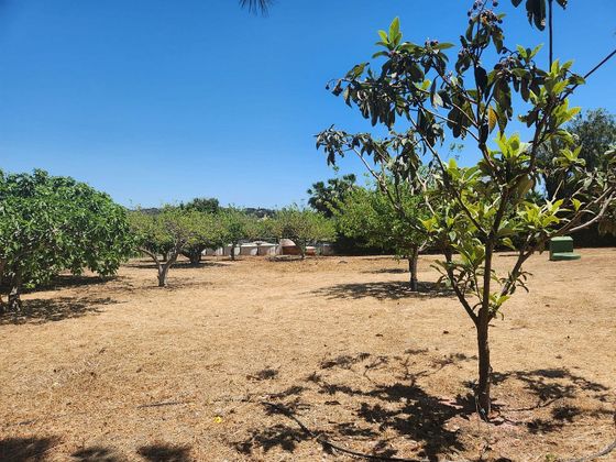 Foto 1 de Venta de terreno en El Padrón - El Velerín - Voladilla de 3161 m²