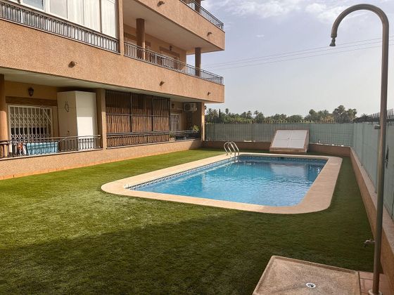 Foto 1 de Piso en venta en Albatera de 2 habitaciones con terraza y piscina