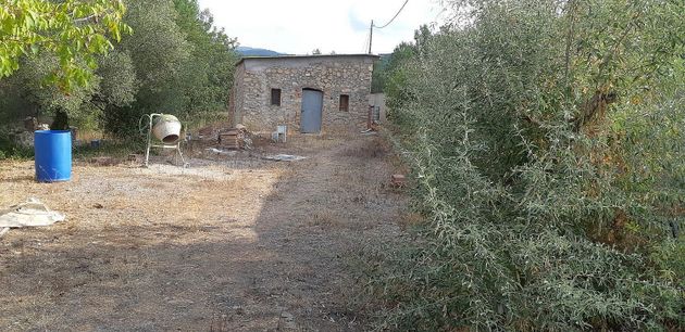 Foto 1 de Venta de terreno en Castellvell del Camp de 10000 m²