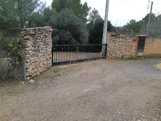 Foto 2 de Venta de terreno en Castellvell del Camp de 10000 m²