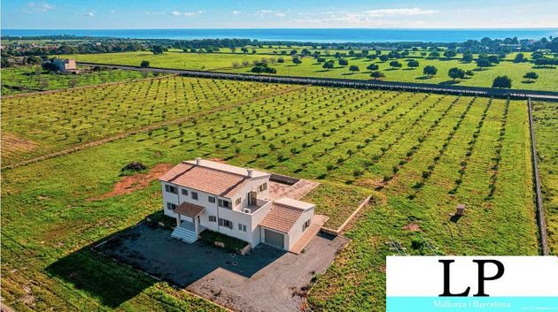 Foto 1 de Casa rural en lloguer a Porto Cristo de 4 habitacions amb terrassa i piscina