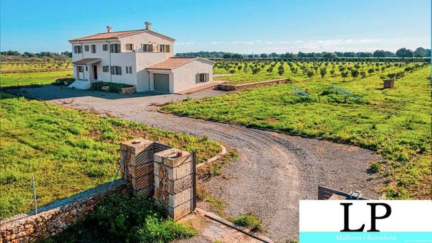 Foto 2 de Casa rural en venda a Porto Cristo de 4 habitacions amb terrassa i piscina