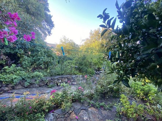 Foto 2 de Casa en venda a Tarifa de 5 habitacions amb piscina i jardí
