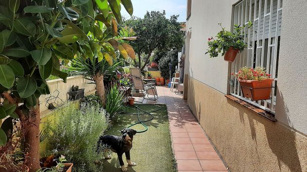 Foto 2 de Casa en venda a Centro - Roda de Barà de 3 habitacions amb terrassa i jardí