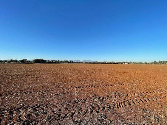 Foto 2 de Venta de terreno en Algaida de 42000 m²