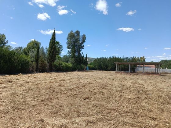 Foto 1 de Venta de terreno en Alcolea de 3300 m²