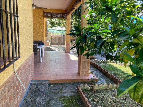 Foto 1 de Casa rural en venda a Vejer de la Frontera de 2 habitacions amb terrassa i piscina