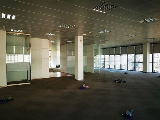 Foto 1 de Oficina en alquiler en Sector Sur  - La Palmera - Reina Mercedes de 600 m²