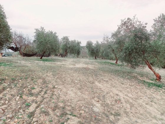 Foto 1 de Venta de terreno en Alhama de Granada de 8000 m²