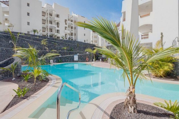 Foto 2 de Venta de piso en Palm - Mar de 1 habitación con terraza y piscina