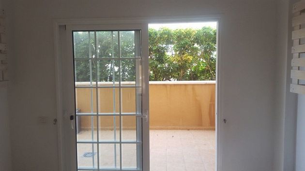 Foto 1 de Pis en venda a Palm - Mar de 2 habitacions amb terrassa i piscina