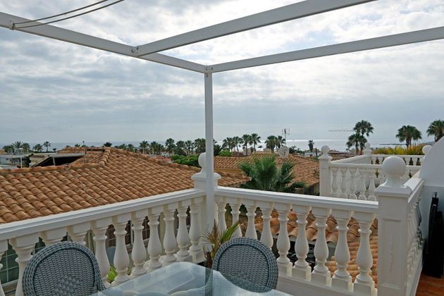 Foto 2 de Venta de casa en Palm - Mar de 3 habitaciones con terraza y piscina