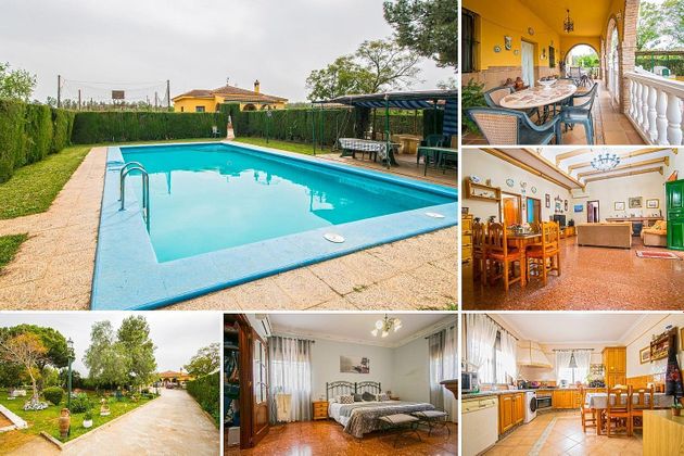 Foto 1 de Casa rural en venda a Mairena del Alcor de 4 habitacions amb piscina i jardí