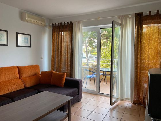 Foto 1 de Dúplex en lloguer a calle Bulevard de Los Musicos de 2 habitacions amb terrassa i piscina