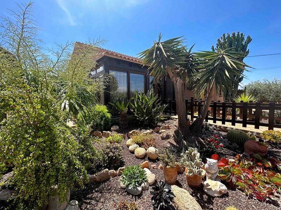 Foto 1 de Casa en venta en calle Diseminado El Navajo de 4 habitaciones con piscina y jardín