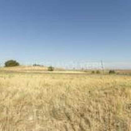 Foto 1 de Venta de terreno en Talamanca de Jarama de 126500 m²