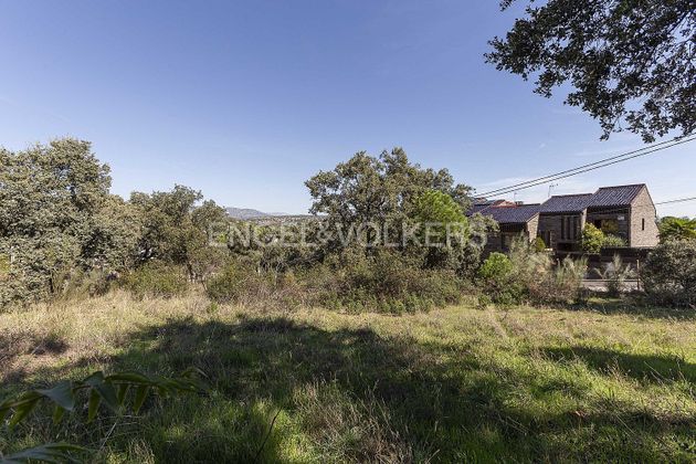 Foto 2 de Venta de terreno en Las Matas  - Peñascales de 1000 m²