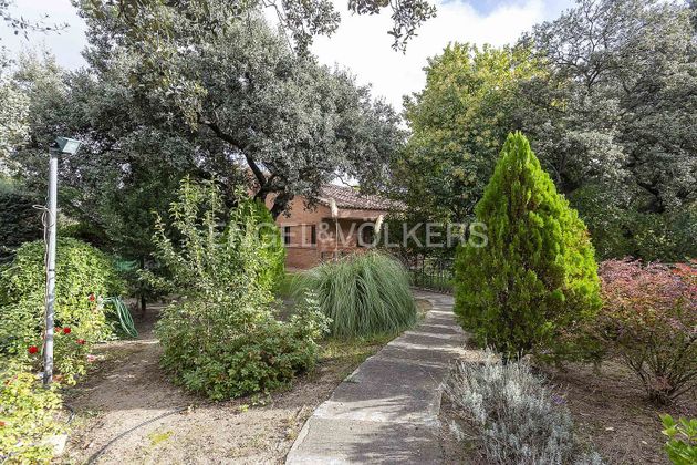 Foto 1 de Xalet en venda a Raya del Palancar - Guadamonte de 4 habitacions amb terrassa i jardí