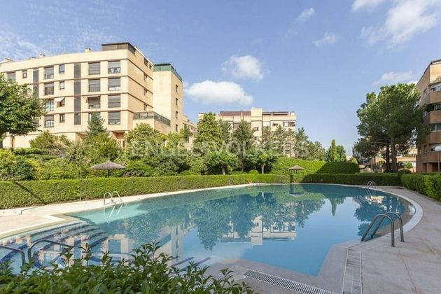 Foto 1 de Àtic en venda a Piovera - Conde Orgaz de 1 habitació amb terrassa i piscina