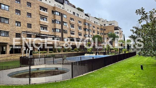 Foto 1 de Pis en lloguer a Piovera - Conde Orgaz de 3 habitacions amb terrassa i piscina