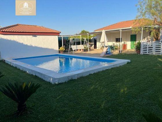 Foto 2 de Venta de chalet en Rinconada (La) de 3 habitaciones con piscina