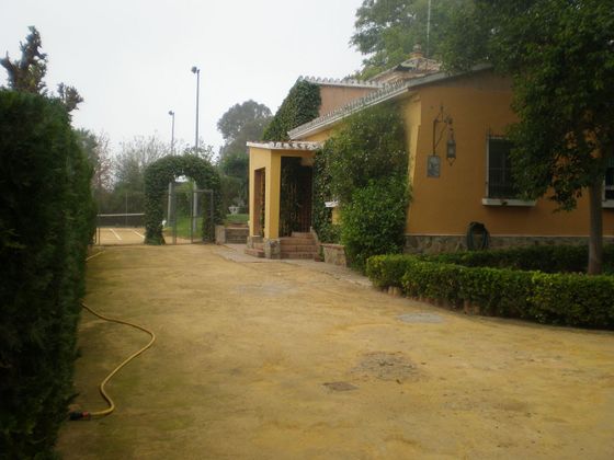 Foto 1 de Casa rural en venda a Mairena del Alcor de 5 habitacions amb terrassa i piscina