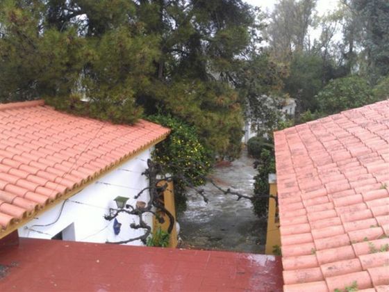 Foto 2 de Venta de casa rural en Mairena del Alcor de 5 habitaciones con terraza y piscina