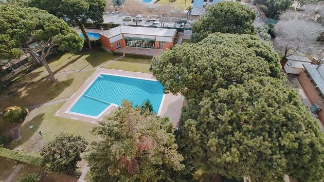 Foto 2 de Pis en venda a Els Pins de 3 habitacions amb terrassa i piscina