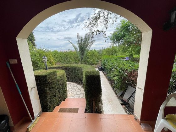 Foto 1 de Casa en venda a Montesinos (Los) de 4 habitacions amb terrassa i piscina