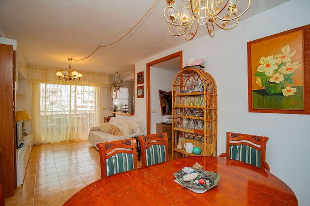 Foto 2 de Pis en venda a Torrelamata - La Mata de 3 habitacions amb terrassa i piscina