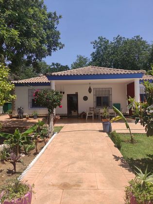 Foto 2 de Venta de casa rural en Coria del Río de 3 habitaciones con piscina y jardín