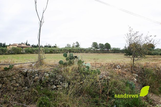 Foto 2 de Venta de terreno en Sant Climent Sescebes de 6847 m²