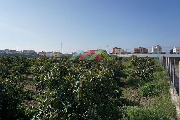 Foto 2 de Venta de terreno en Algarrobo de 2200 m²