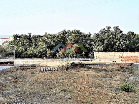 Foto 2 de Venta de terreno en Algarrobo de 293 m²