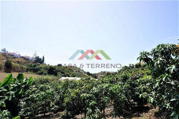 Foto 2 de Terreno en venta en Benajarafe – Almayate de 2820 m²