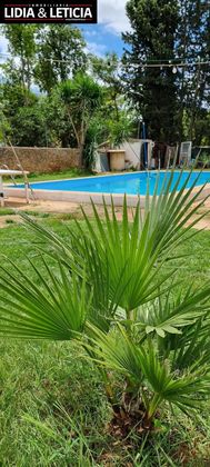 Foto 2 de Venta de chalet en Mairena del Alcor de 2 habitaciones con piscina y jardín