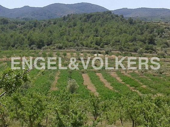 Foto 1 de Venta de terreno en Segorbe de 43109 m²