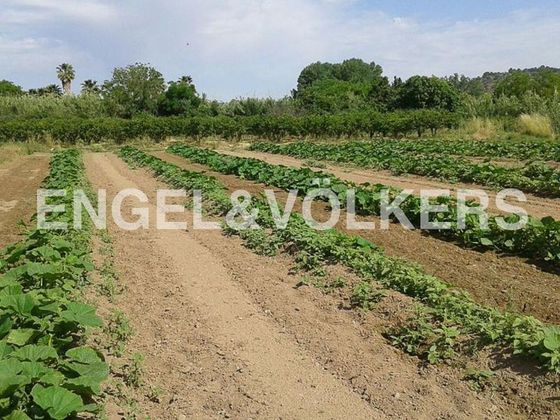 Foto 2 de Venta de terreno en Segorbe de 43109 m²