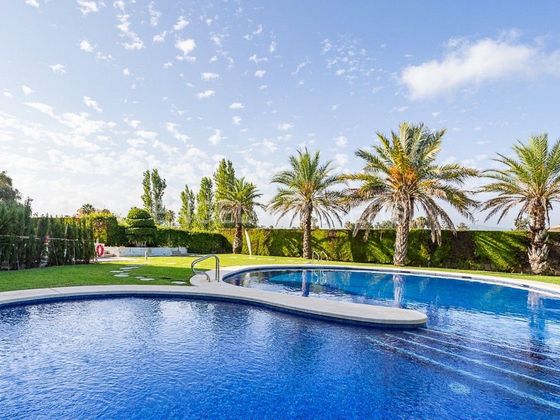 Foto 2 de Pis en venda a Oliva Nova de 2 habitacions amb terrassa i piscina