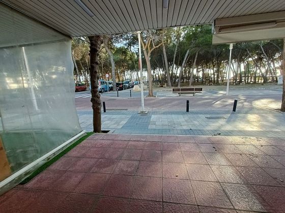 Foto 2 de Local en venda a Ciudad Universitaria amb terrassa