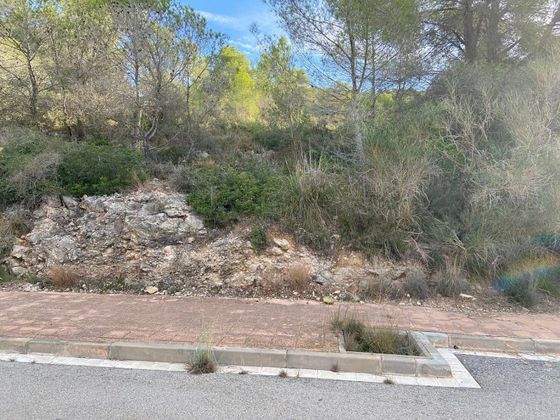 Foto 1 de Venta de terreno en Mas Alba de 566 m²