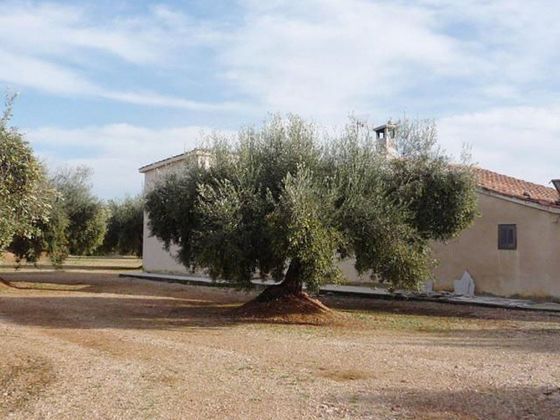 Foto 2 de Casa rural en venda a Ulldecona de 8 habitacions amb terrassa i jardí