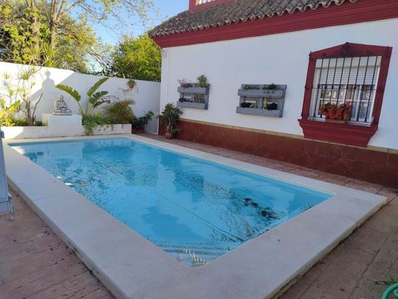 Foto 1 de Venta de chalet en Las Palmeras-Dehesilla de 4 habitaciones con piscina y jardín
