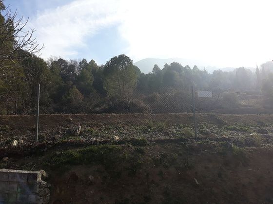 Foto 1 de Venta de terreno en Villares (Los) de 4000 m²