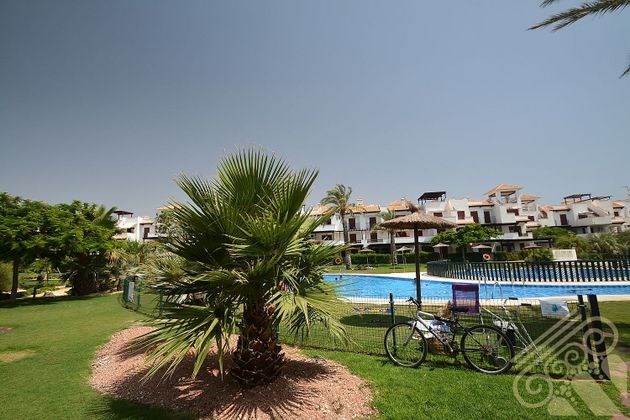 Foto 2 de Àtic en venda a calle Delfin de 2 habitacions amb terrassa i piscina