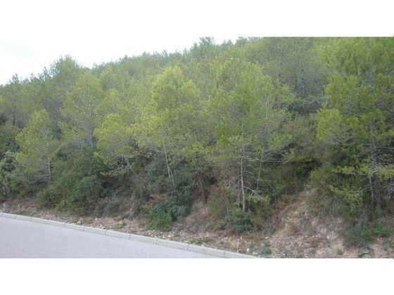 Foto 2 de Venta de terreno en Pont de Vilomara i Rocafort, El de 800 m²
