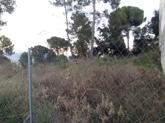 Foto 2 de Venta de terreno en Castellgalí de 535 m²