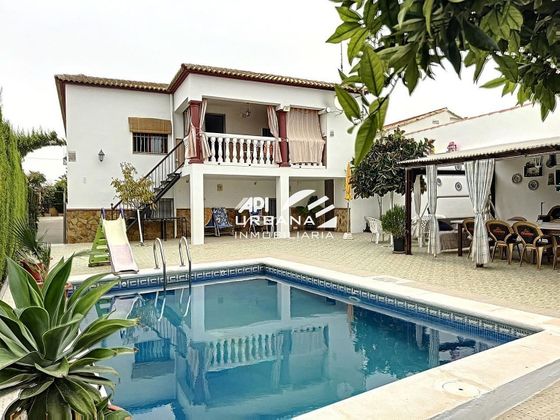 Foto 1 de Chalet en venta en Lucena de 3 habitaciones con piscina
