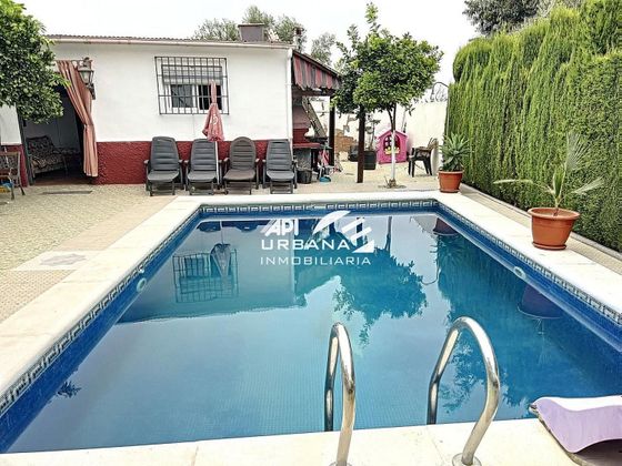 Foto 2 de Chalet en venta en Lucena de 3 habitaciones con piscina