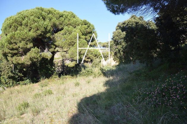 Foto 1 de Terreny en venda a Sant Andreu de Llavaneres de 3849 m²